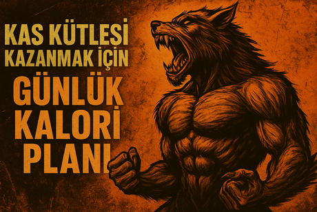 Kas Kütlesi Kazanmak İçin Günlük Kalori Planı ve En Etkili Kilo Aldırıcı Takviyeler