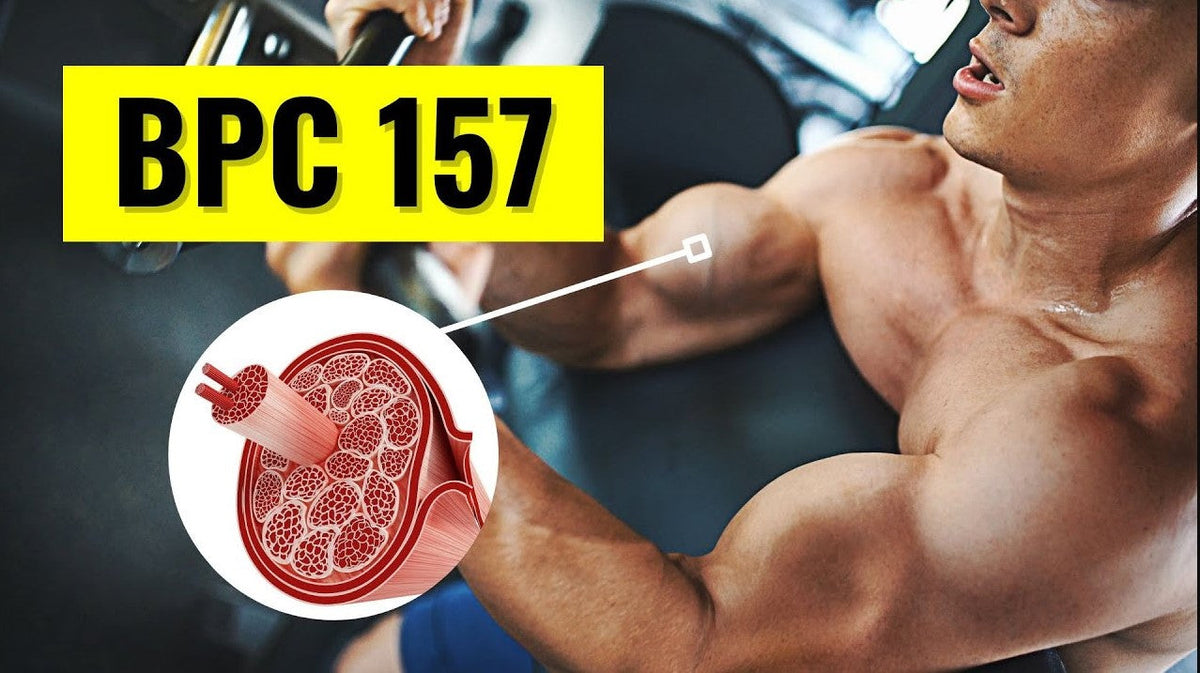 BPC-157: Vcudun Kendini Yenileme Kodu - BPC 157 Nedir? BPC-157: Vcudun Kendini Yenileme Kodu - BPC 157 Nedir?