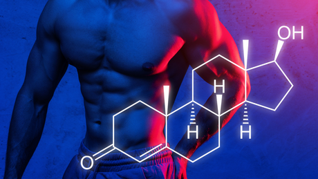 En İyi Testosteron Artırıcı Supplementler